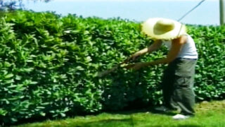 Cumshot – hardcore'owy film ekstremalny z francuskimi gejami uprawiającymi hardcore'owy seks analny