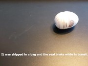 Tenga Egg - Unboxing, Testing, and Review