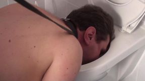Cleaning the toilet with his tongue