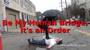 Be My Human Bridge, It's an Order Empress Jennifer
