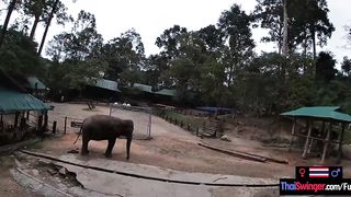 Elephant ride into Thailand with teens lovers who had sex afterwards