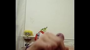 Kr&aacute_tk&eacute_ ale v&yacute_stižn&eacute_