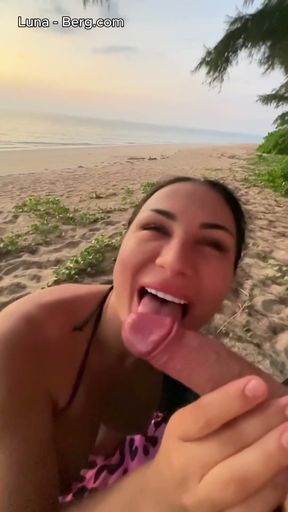 Brunette Stranger with Big Tits Sucks on the Beach at Sunset