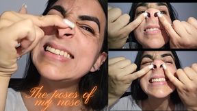 The different positions of my nose