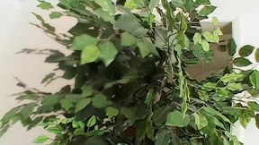 kathleen kruz deep throat blowjob from manuel ferrara