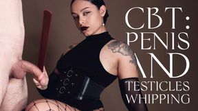 CBT: I whip his penis and testicles with my paddle