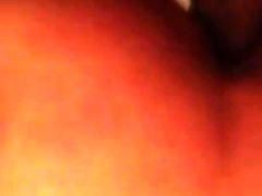 Daddy Bear and His Young Cub