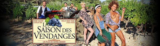 The grape harvest season