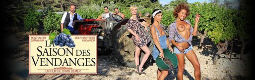 The grape harvest season