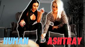 Female domination , human ashtray: Mistress  Sarah Dom and Goddess Ambra unveil human ashtray