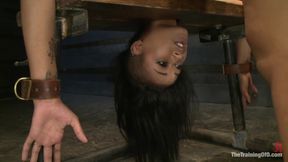 TheTrainingOfO - Skin 4