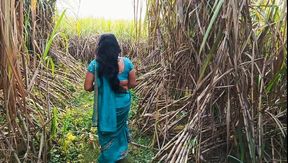 Today I Kicked My Wife's Ass in a Sugarcane Field and Shot an Indian Sex Video