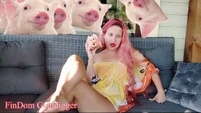 MoneySlave Application Form Review