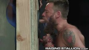 Suck that big cock trough a glory hole!