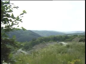 Hairless less girl gets doggysytled outdoors