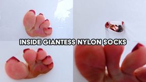 Inside Giantess Nylon Socks- Hide Inside My White Nylon Socks and Watch My Toes - 4K MP4