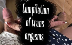 Compilation of Trans Orgasms #6