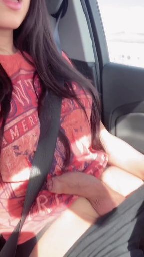 Driving Into La for the Weekend. I Sure Could Use a  co-pilot