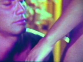 Integrated Orgies Of The 60's And 70's