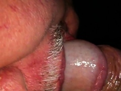 Sucking Harley dick