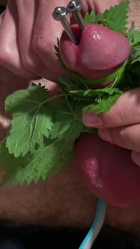 Cum with Nettles Inside Dick