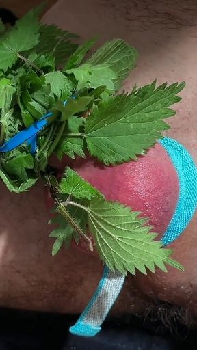 Cum with Nettles Inside Dick