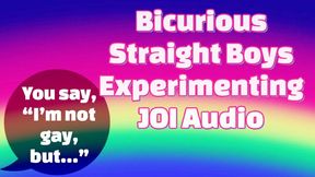 Bicurious Straight Boys Experimenting JOI Audio Only - - You didn't mean to end up jerking each other off! - Make Me Bi, Bisexual Encouragement, Gay Jerk Off Instructions, Queer, Frotting, Female Domination, Femdom with Mistress Mystique Hoops - MP4