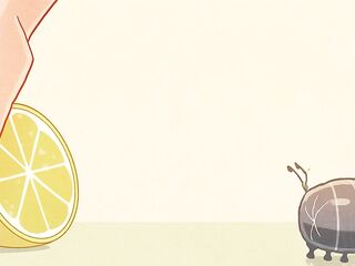 Lemons retracts anything!