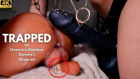 Trapped on Unaware Giantess Domme's Strapon - Tiny Pummeled by Pegging POV
