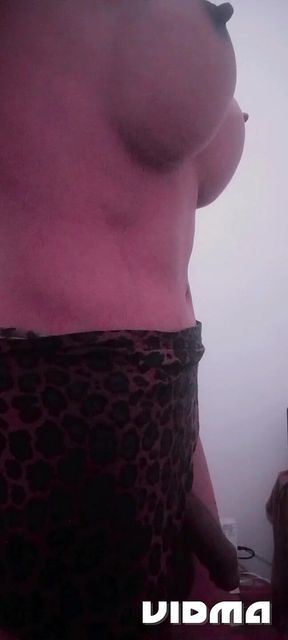 Polla Grande Lara-transexual