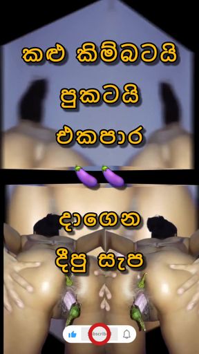 Sri Lankan Cheting Wife with Two Brinjal