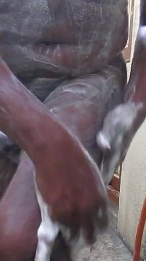 Soft and Hard in the Shower Bathing - a Clean Cock Is a Happy Cock