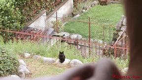 ”Mistress foot worship in the bedroom”