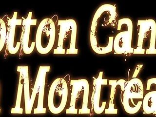 Cotton Candi in Montreal