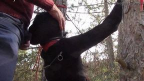 Milf compilation bondage hood facefuck