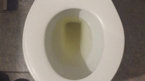 I PISS GOLD IN MY TOILET I WISH FOR CUSTOMERS