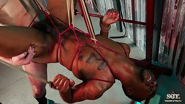 Miles-Bucky-Tarzan3