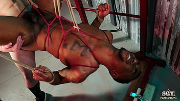 Miles-Bucky-Tarzan3