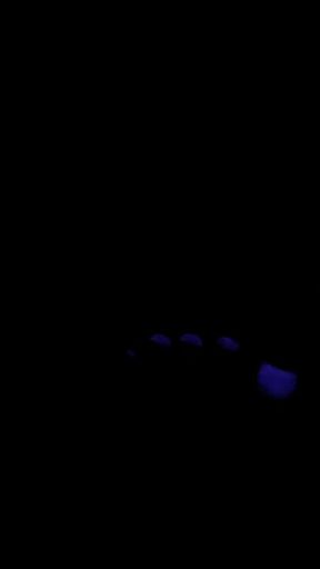 Pedicure glow in the dark