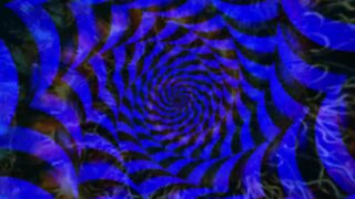 Piggie Virus Brain Infection two