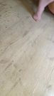 A little Latvian girl peed on the playroom floor.