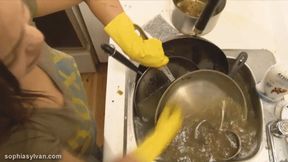 Punished by Dishwashing 720p mp4