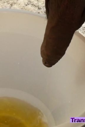 Beautiful ebony trans girl pees