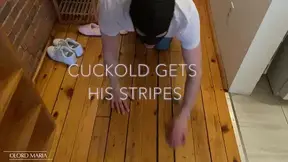 Cuckold Gets His Stripes: Sub gets stripped down, put into lingerie, and humiliated in this degradation scene