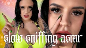 Slow Sniffing ASMR: Whispering Mental Domination Femdom POV Ft Miss Roper - 4K