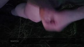 Nice Wank in the Park