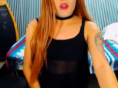 Shemale Stripper And Her Hard Cock