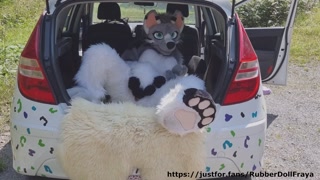 Fluffy car with fun