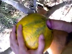 Outdoor Melon Play