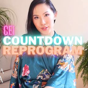 CEI Countdown Reprogram